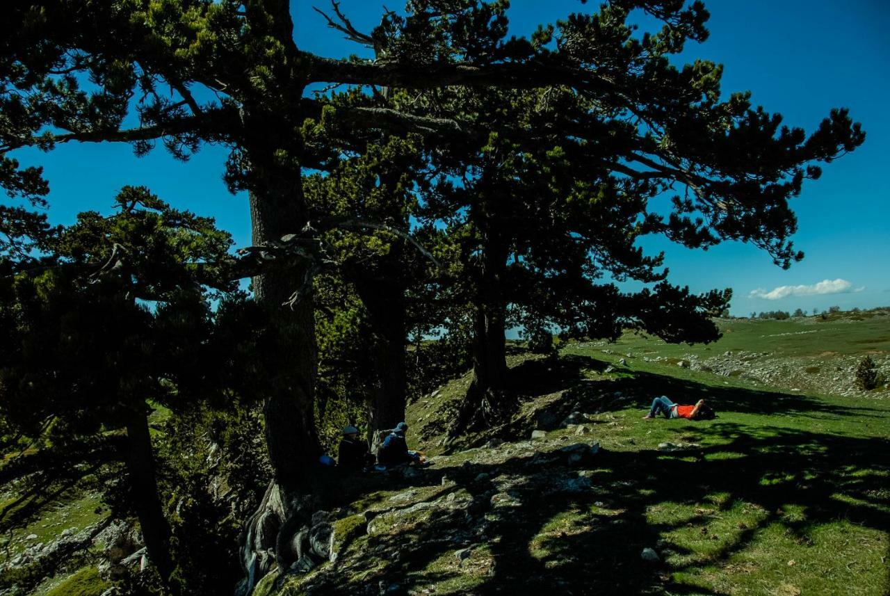 Tana Libera Tutti 1 Nature, Yourself, Love Виджанелло Экстерьер фото