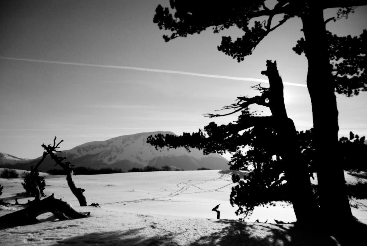 Tana Libera Tutti 1 Nature, Yourself, Love Виджанелло Экстерьер фото