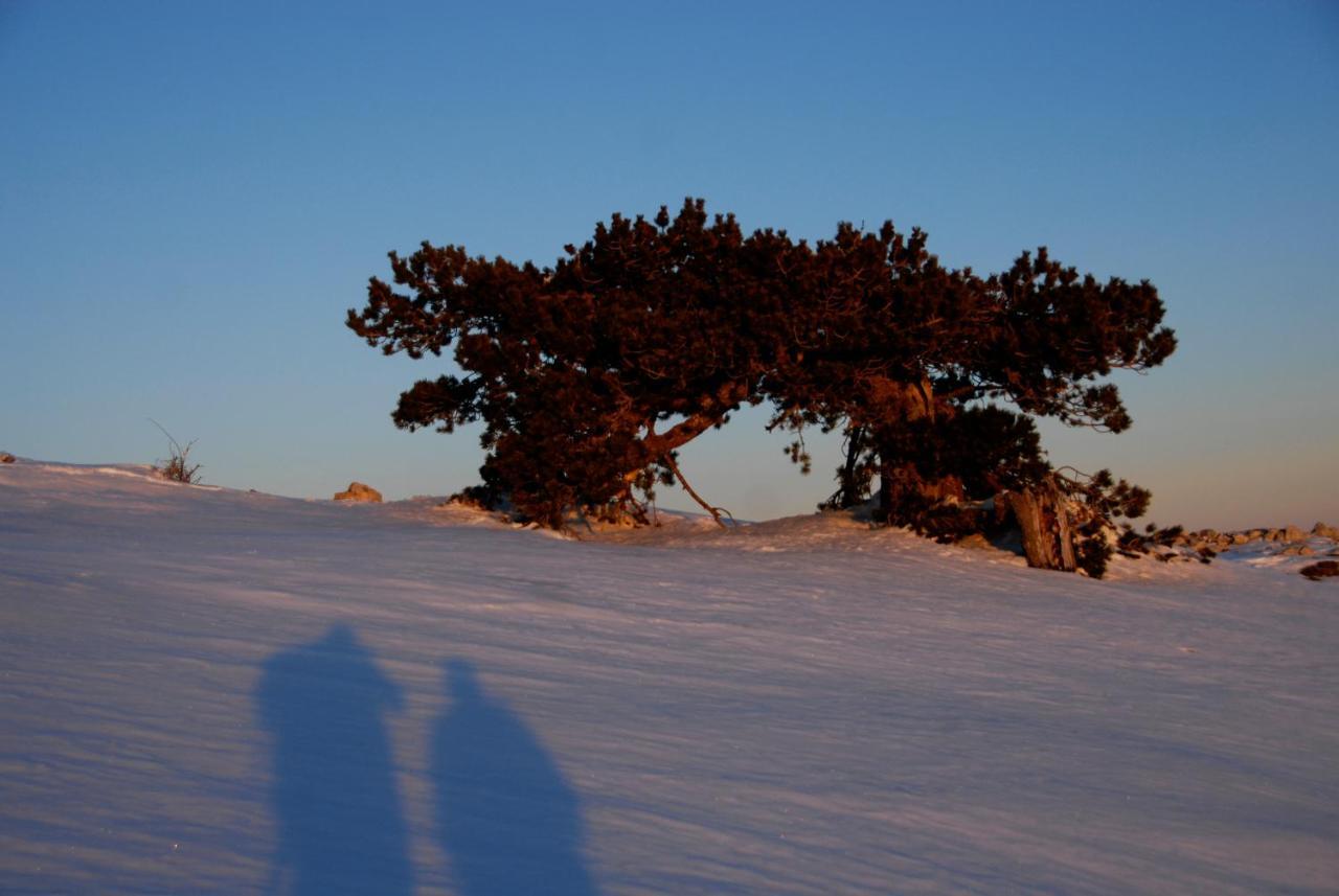 Tana Libera Tutti 1 Nature, Yourself, Love Виджанелло Экстерьер фото